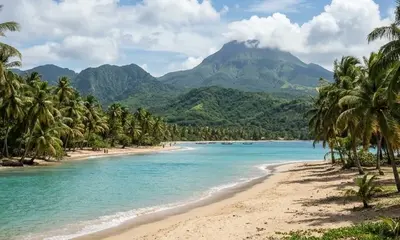 Image illustrant l'article DPE en outre-mer : ce qui s'applique vraiment en Guadeloupe, Martinique, Guya...